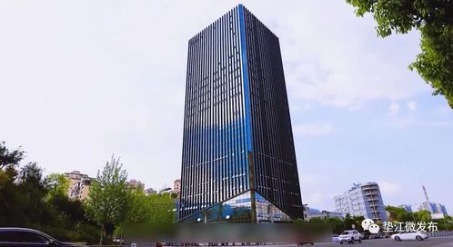 墊江 揚帆啟航高新路，數字技術服務賦能縣域發展新篇章